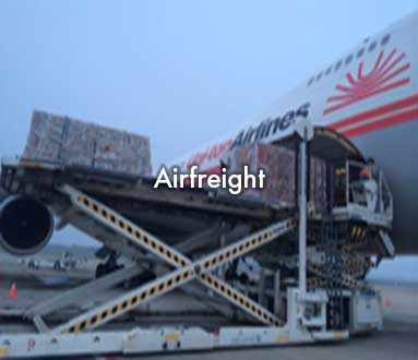 export-Business_img3